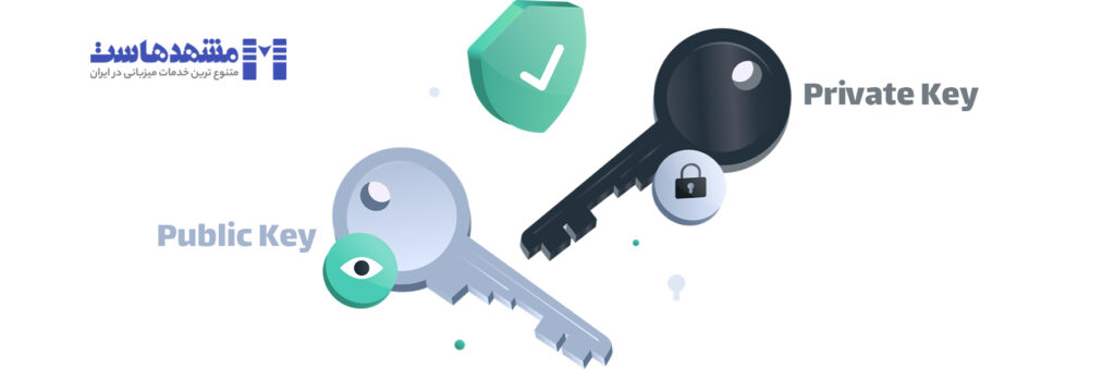 کلید عمومی و کلید خصوصی برای تولید CSR