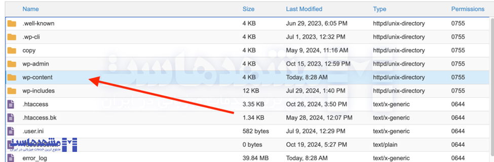 نحوه رفع خطای صفحه سفید وردپرس