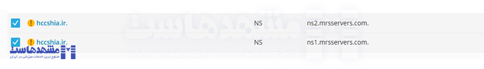 تنظیم DNS اختصاصی در پلسک