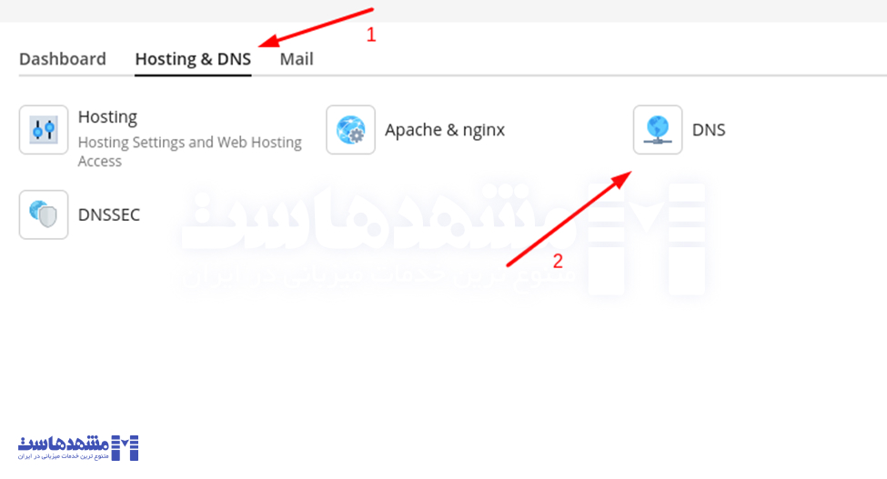تنظیم DNS اختصاصی در پلسک