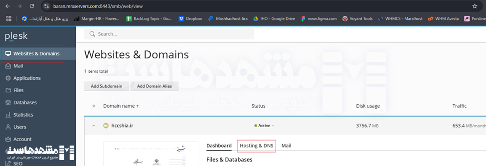 تنظیم DNS در پلسک
